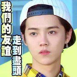 搜狐娱乐明星吃瓜视频