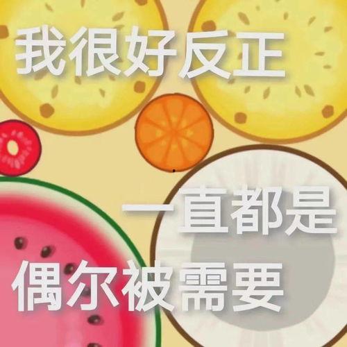 猫人娱乐吃瓜,揭秘娱乐圈的“吃瓜”风云